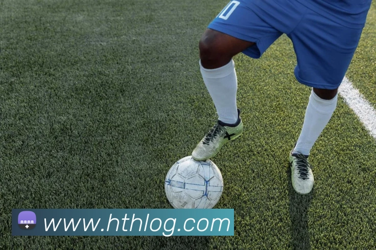 华体会体育平台生态图